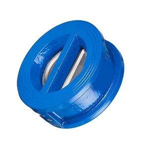 วาล์วกันกลับคุณภาพสูงขนาดหนึ่งนิ้ว ASME EPDM Seat WCB - Product Image 2