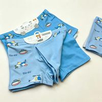 Caleçons Boxers en Coton pour Tout-Petits Garçons, Motif Avion Adorable, Doux, Respirant, Écologique, Anti-Bactérien, Thermique, Sous-vêtements Élastiques pour Enfants