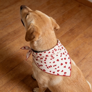 مريلة حيوانات أليفة تحت عنوان عيد الحب. مريلة قماشية جميلة وناعمة ولطيفة لأصدقائك من الفرو. - Product Image 4