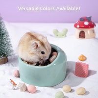 Bol à nourriture en céramique anti-renversement pour hamster, décor de cage, mangeoire, petite et grande taille, 5 couleurs, pour petits animaux, vente en gros
