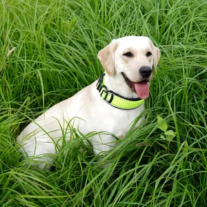 Yansıtıcı köpek tasması ile üretici toptan nefes ışık şeridi