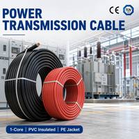 Fabricante de Cables Personalizados OEM/ODM, Cable de Alimentación de Cobre con Aislamiento de PVC y Revestimiento de PE para Alimentación y Cableado Interno