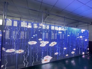 D-King Indoor Transparent LED Glass Display Panel with Colorful <b>Light</b> Effects for Retail <b>Spaces</b> - Product Image 6