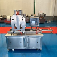 Automatische snoepmachine met grote capaciteit voor harde snoepjes, productielijn voor het afzetten van harde snoepjes, CE-gecertificeerd
