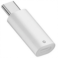Adaptateur USB-C pour Apple Pencil 1ère génération compatible avec iPad 10e/11e génération (A16) USB-C et pour la charge