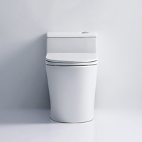 Chine Vente en gros Douche Eau Placard Porcelaine Wc S-trap Salle de bain Siphonic One Piece Toilette Ensemble Sanitaire
