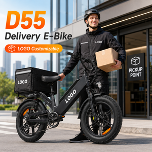 Bicicleta Eléctrica de Carga D55 E-MTB con Neumáticos Gruesos 20x4, Bicicleta Eléctrica Personalizada OEM para Transporte Comercial en México - Product Image 1