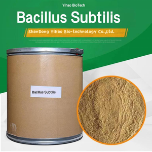 Hot bán thủy sản tôm thức ăn phụ gia 10 tỷ <span class=keywords><strong>bacillus</strong></span> <span class=keywords><strong>subtilis</strong></span> bột màu trắng điều khiển vi khuẩn có hại - Product Image 5
