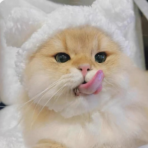 Chapeau pour animaux de compagnie en forme d'ours mignon, vêtements pour chat, chapeau d'hiver, fabricant de vêtements pour animaux de compagnie, design mignon, chapeau pour petit <span class=keywords><strong>chien</strong></span> et chat - Product Image 4