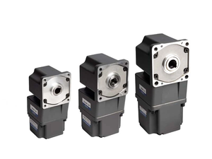 <strong>Brushless</strong> <strong>DC</strong> Geared <strong>Motor</strong> 24V 48V 110V 220V 30W 90W 120W 400W 750W 1000W 1500W High Torque Wide Range BLDC Speed Controller - Product Image 2