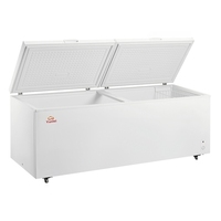 Nouveau modèle de congélateur coffre commercial BC/BD-998 998l antibactérien Double porte chaîne et barre de guidage pour congélateur coffre