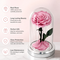 Bestseller Handgefertigte Langlebige Konservierte Rose mit LED-Beleuchtung Ewige Blume Geschenk 12*20 Glaskuppel für Abschlussfeier Muttertag