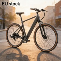 Vélo électrique pliable YANGOR Fatbike, vélo électrique Fat Bike, E-bike 250W, E-bike 10.4AH, vélo électrique de ville pas cher, stock européen