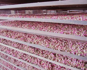 メッシュベルトドライヤー麻葉花乾燥機Plcコントロール芳香族カモミールミントセドロンローズフラワードライヤー機