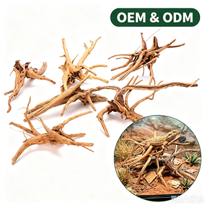 Bois de dérive naturel torsadé populaire <span class=keywords><strong>pour</strong></span> la décoration d'aquariums, de terrariums et de reptiles - Product Image 1