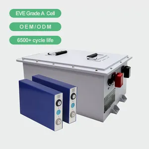 48V 120Ah Eingebauter intelligenter BMS Lithium-Ionen-Akku LiFePO4-Akku für Golfwagen-Elektro fahrrad