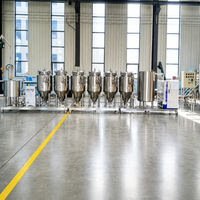 Cuve de Fermentation 200L en Acier Inoxydable – Équipement de Brassage de Bière, Matériel de Brasserie, Machines à Café