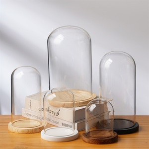 โดมแก้วทรงกลมรูปตัว U ขนาด10ซม. 12ซม. 15ซม. 18ซม. - Product Image 6