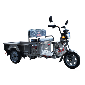 1.1m Acier Inoxydable Tricycle Électrique Tricycle Motorisé Tricycle Électrique Cargotricycle - Product Image 6