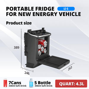 Prix direct usine 12V réfrigérateur 4.3L <span class=keywords><strong>petit</strong></span> congélateur camping-car portabilité voiture refroidisseur <span class=keywords><strong>pour</strong></span> Lixiang L8 - Product Image 2