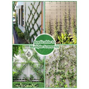 <span class=keywords><strong>Serre</strong></span>-câbles en acier inoxydable 316 pour plantes grimpantes d'extérieur et grille en rotin - Product Image 5