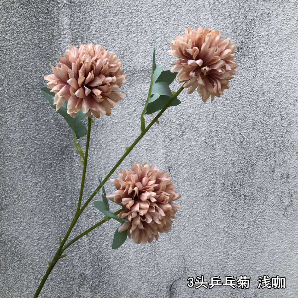 สีน้ำตาล ชุดพิเศษฤดูใบไม้ร่วง 3 ปิงปอง ดอกเบญจมาศแกง