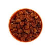 Usine chinoise, vente en gros, raisins secs naturels purs de haute qualité en provenance de Chine