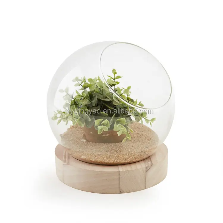 דקורטיבי ברור זכוכית כדור אגרטל חממה עם עץ בסיס
