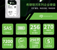 4TSAS Hard Disk Drive