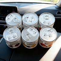 Soceli 120g Désodorisant de voiture écologique en plastique, style moderne, solide, longue durée, pour l'intérieur du véhicule, type liquide