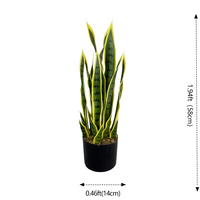 Plante Serpent Artificielle Sansevieria Petite en Pot Plastique Écologique Verte Jaune Décoration Intérieure Maison Noël Remise de Diplôme
