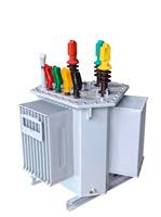 Transformador de Distribución Sumergido en Aceite Sellado para Aplicaciones de Subestaciones de 10kV 0.4KV