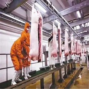 مسلخ معالجة لحم الخنزير والخنزير