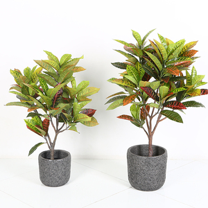 Ficus-planta en maceta, variegatum, árbol de croton, plantas ornamentales artificiales - Product Image 1