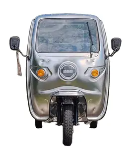 Adult Semi-closed electric tricycle hauling semi-top load king simple shed cargo delivery battery car electric bike 3 wheels