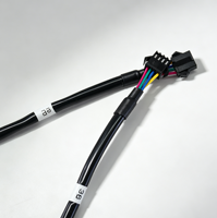 Kit Kabel Kustom untuk Mobil dengan Isolasi PVC & PTFE Berperingkat IP67 Bersertifikasi IATF16949