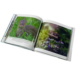 Album da Viaggio Personalizzato con Copertina Rigida, Libro OEM per Colorare, Stampa Offset a Colori, Cartone Duplex/Corrugato - Product Image 6