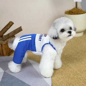 Combinaison Sportive en Maille Respirante pour Chien, Tenue d'Été à Quatre Pattes pour Petits Chiens, Vêtements pour Animaux de Compagnie - Product Image 4