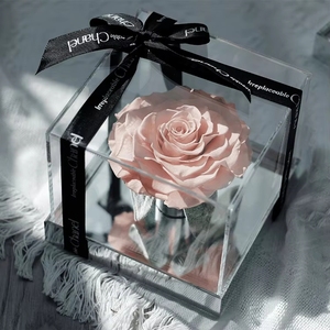 <span class=keywords><strong>Rosa</strong></span> Eterna 2025, Regalo per Fidanzata, Madre, Migliore Amica, Compleanno, San Valentino, Rose di Alta Qualità - Product Image 4