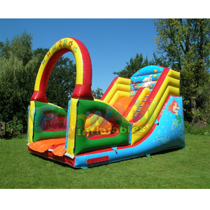 Mini toboggan gonflable parc animaux, jeux de diapositives gonflables, bon marché, vente en gros - Product Image 4