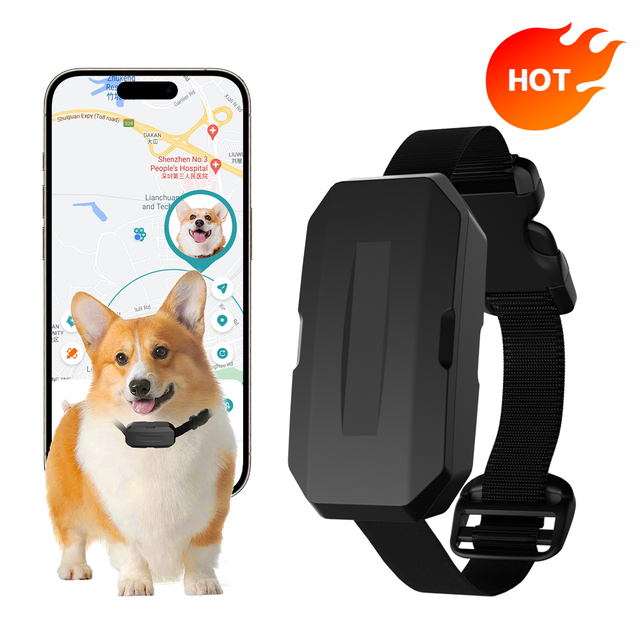 Animal GPS WiFi 4G Hunting Dog Tracker Locator Collar Rastreador Pet Gps Tracker Collar