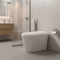 Toilette intelligente, approvisionnement direct d'usine, conception en céramique à économie d'eau, usage commercial et résidentiel, télécommande, siège chauffant