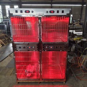 Lámpara de Fisioterapia Infrarroja Osum para Perros y Gatos con LED de Alta Eficiencia y Alimentación por CC para Uso en Hospitales Veterinarios y UCI - Product Image 5