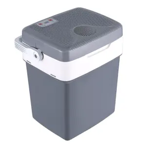 Personal Thermoelectric Cooler/Warmer 29L Portable Electric Car Cooler Warmer with 12/24V DC, 12V Small Fridge
