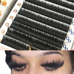 For 2025 Customized Premium Vegan Silk CC Eyelash Extensions Natural Long Thick Full Volume Soft Handmade Matte <b>Lash</b> Trays - Product Image 2