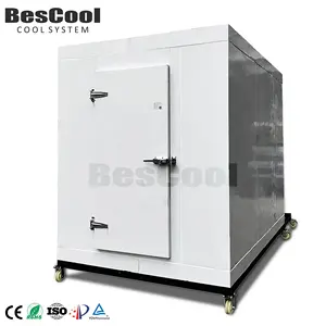 Venta caliente Bescool Mobile Blast Freezer Unidad de congelación rápida-70 ~-50 grados Baja temperatura Walk-In Freezer Almacenamiento en cámara frigorífica