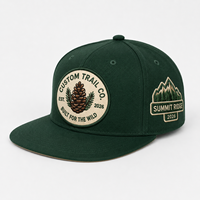 Gorra de Béisbol Deportiva de Alta Calidad, Estilo Informal, 5 Paneles, Forro de Felpa, Cierre a Presión, Logotipo Bordado Personalizado, Visera Plana