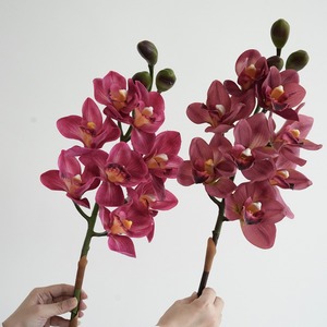 Meilleur <span class=keywords><strong>Prix</strong></span> – <span class=keywords><strong>Orchidée</strong></span> <span class=keywords><strong>Cymbidium</strong></span> Artificielle en Soie, Simulation, Tête Unique, Grande Fleur à 8 Têtes pour Décoration Maison, Mariage, Fête - Product Image 4