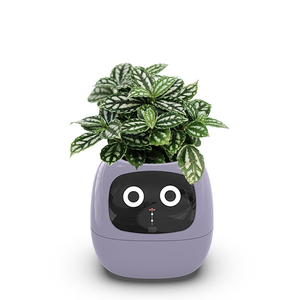 Macetas Inteligentes con IA Digital, Recargables por USB, de Alta Calidad, para Interiores, con Absorción de Agua, para Personas con Poco Tiempo, Ecológicas - Product Image 4