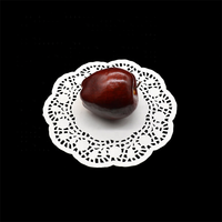 Napperons en papier blancs classiques écologiques résistants à la graisse de 12 pouces, mini napperons ronds en dentelle pour gâteaux et tasses à café
